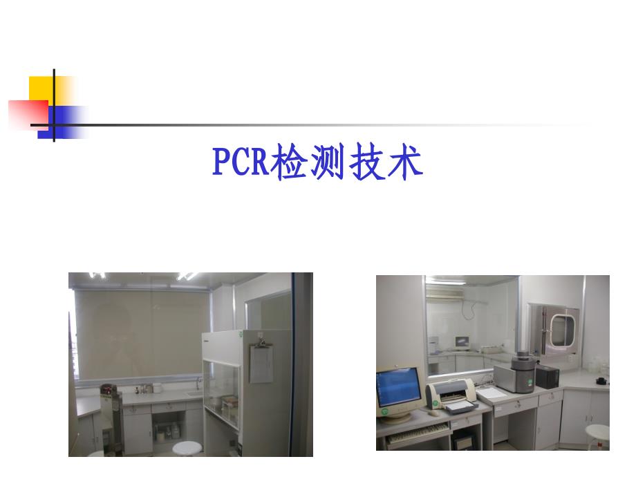 PCR实验室检测技术_第2页