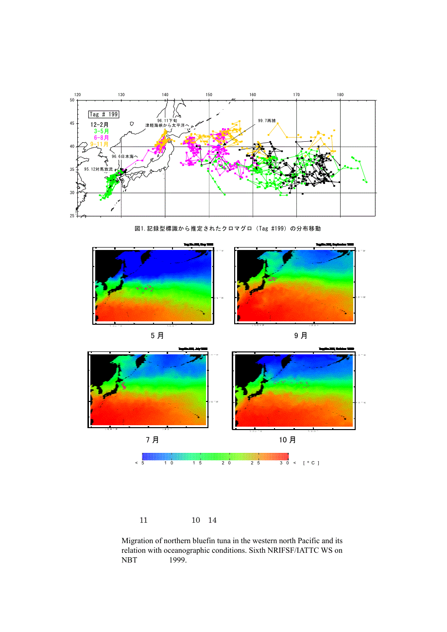 記録型標識によるクロマグロ幼魚の回遊と海洋構造との関係 [要約]放流_第2页