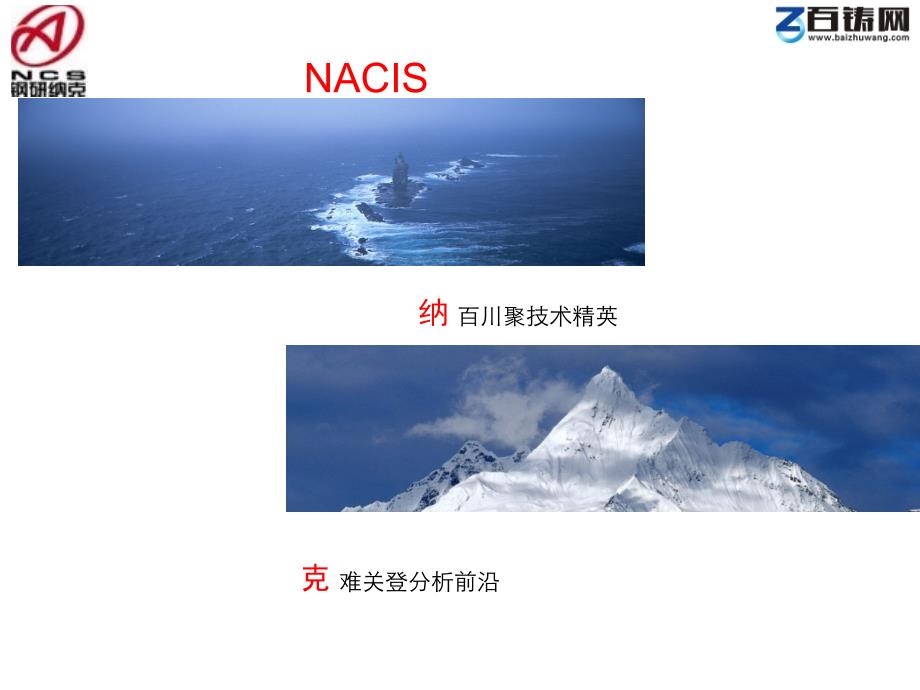 吕海马 钢研纳克检测技术有限公司NCS for 百铸网_第2页