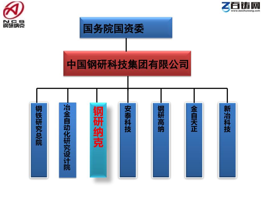 吕海马 钢研纳克检测技术有限公司NCS for 百铸网_第4页