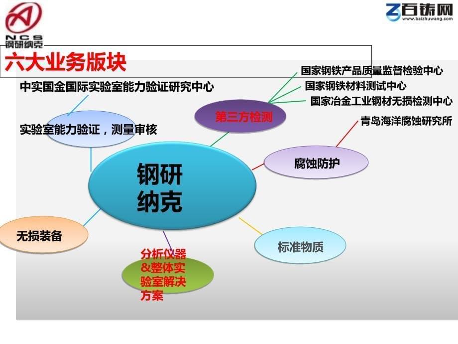 吕海马 钢研纳克检测技术有限公司NCS for 百铸网_第5页