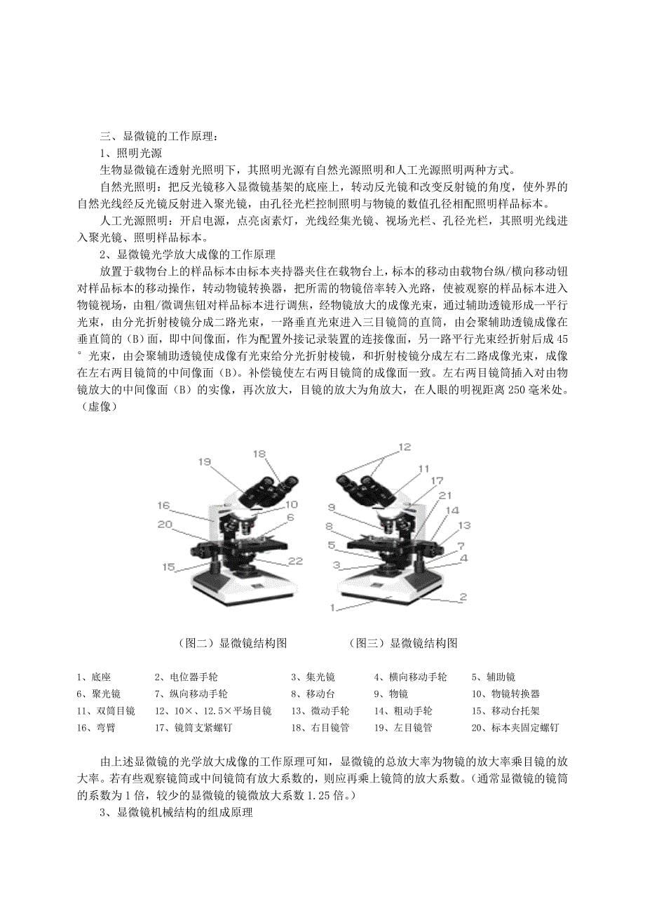 简 易 偏 光 显 微 镜_第5页