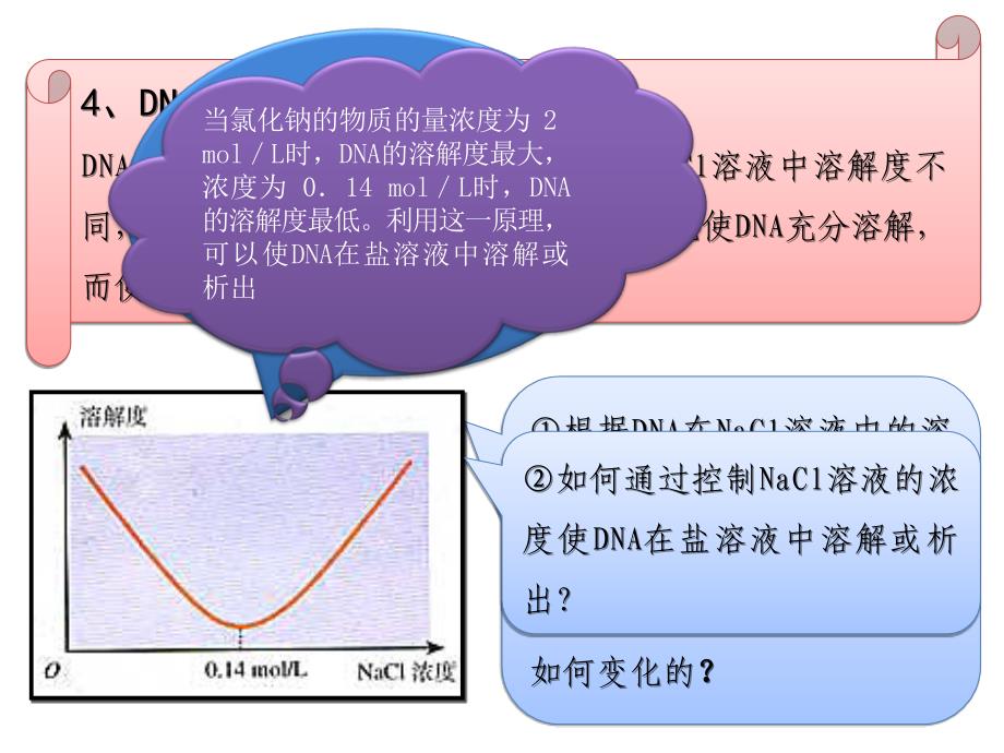 DNA的提取与鉴定_第4页