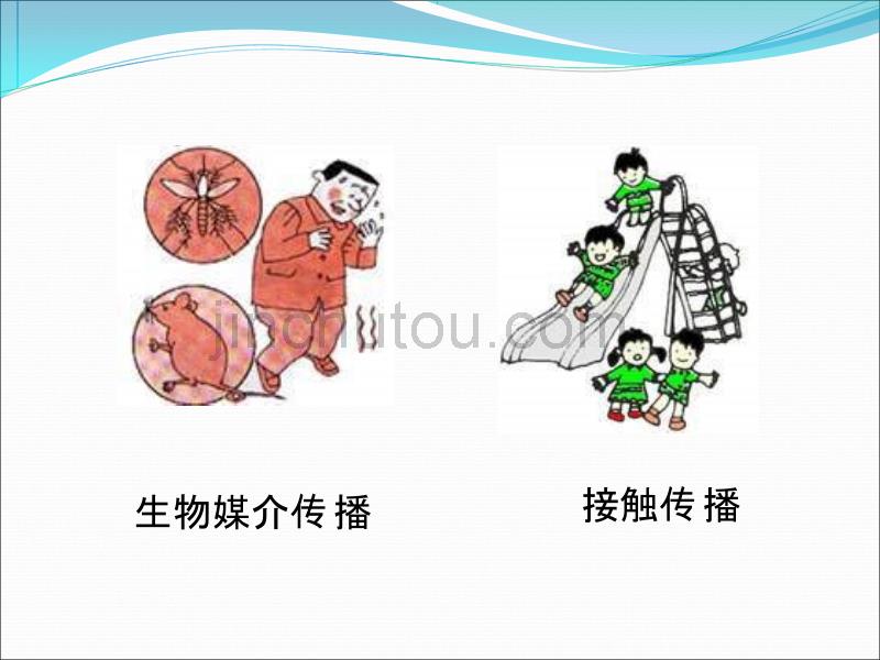 传染病3医学PPT_第5页