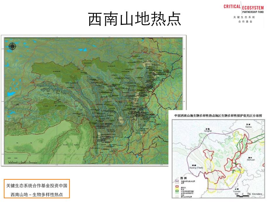 评估报告的局限性_第2页