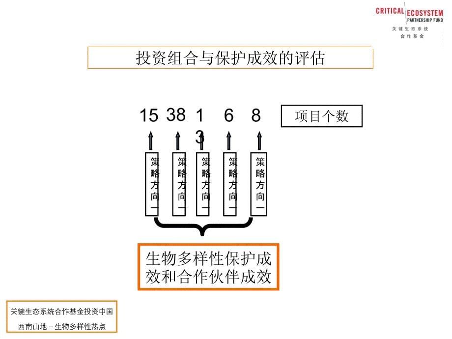 评估报告的局限性_第5页