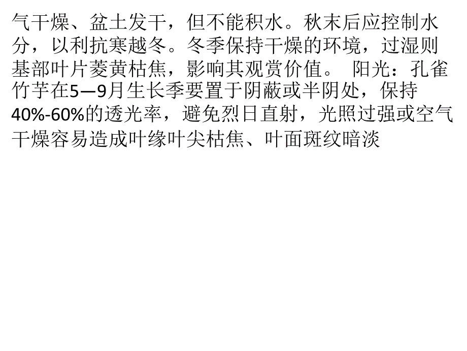 孔雀竹芋的养殖方法和注意事项_第4页