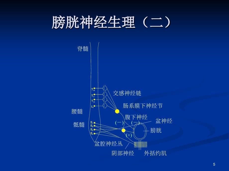 截瘫性神经原性膀胱的表现和处理_第5页