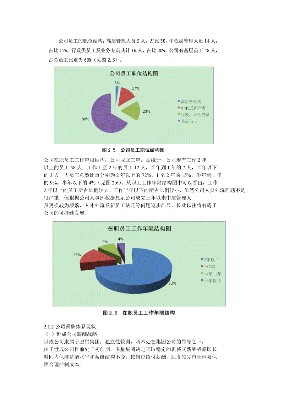 世成家居广场有限责任公司薪酬体系改进_第3页