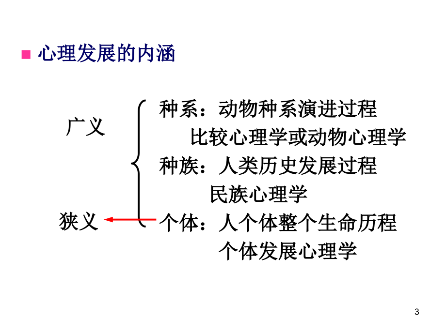 2010心理咨询师考试培训之发展心理学(课件)_第3页