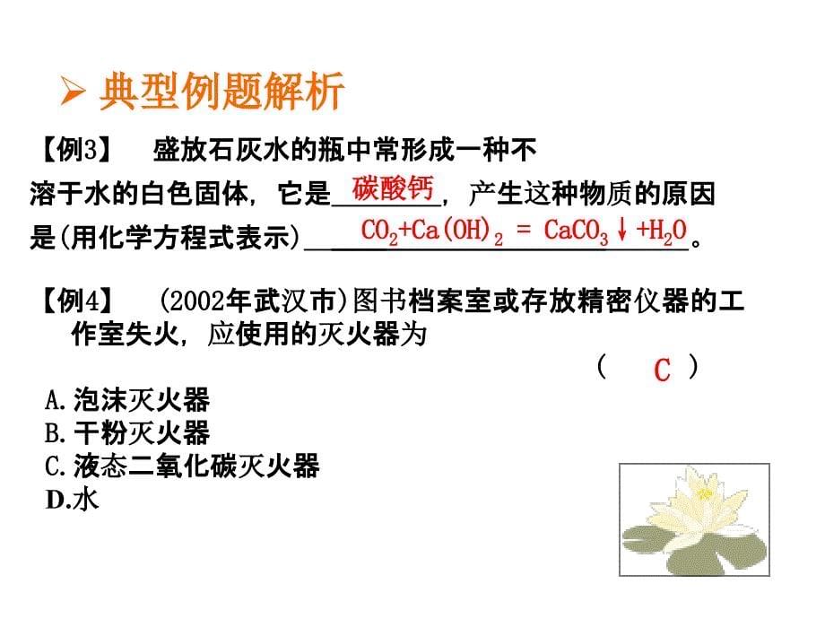 中考化学碳和碳的化合物_第5页