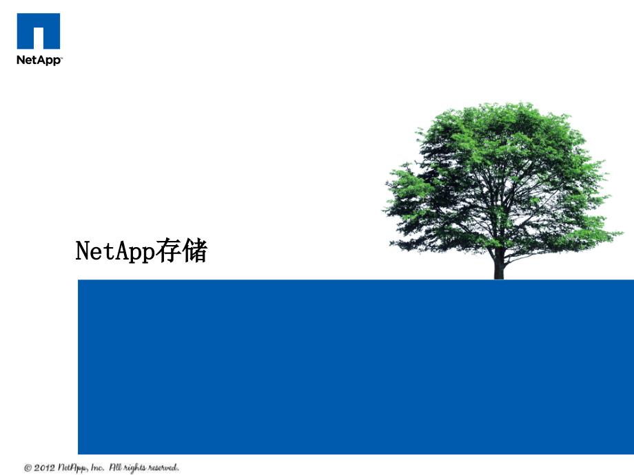 NetApp维护讲座_第2页