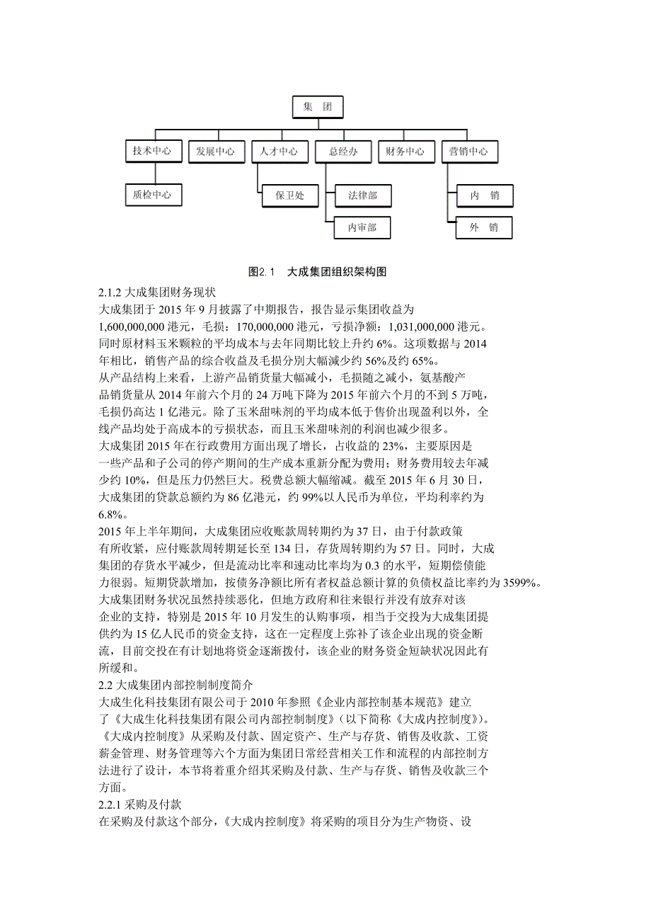 大成生化科技集团财务内部控制_第2页