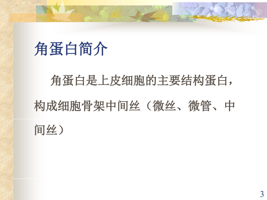 角蛋白遗传病 - 先天性厚甲综合征2型一家系临床表型及角蛋白17基因突变_第3页