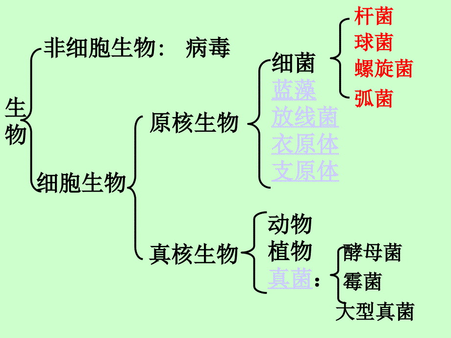 细胞的多样0性与统一性_第3页