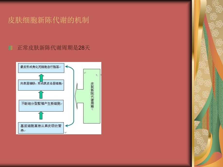 关注干细胞、皮肤细胞新陈代谢与抗衰老之间关系 （库婷婷）_第4页