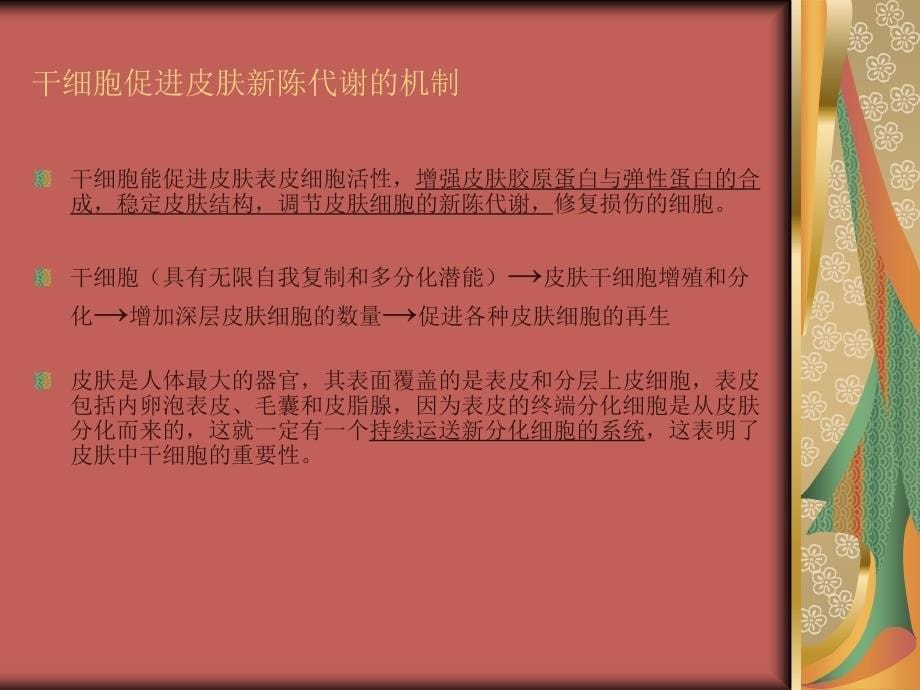 关注干细胞、皮肤细胞新陈代谢与抗衰老之间关系 （库婷婷）_第5页