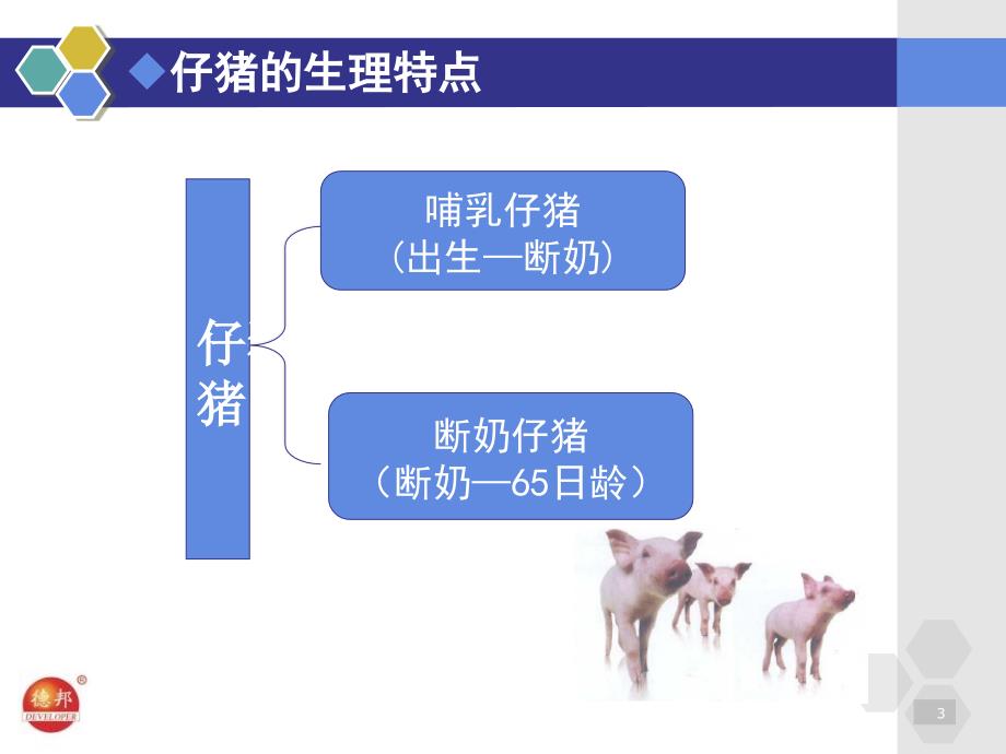 仔猪营养与稀土抗病营养的相关性研究_第3页