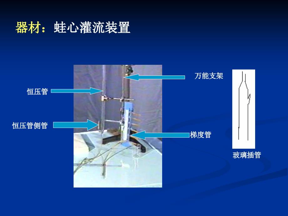 影响心输出量的因素_第4页