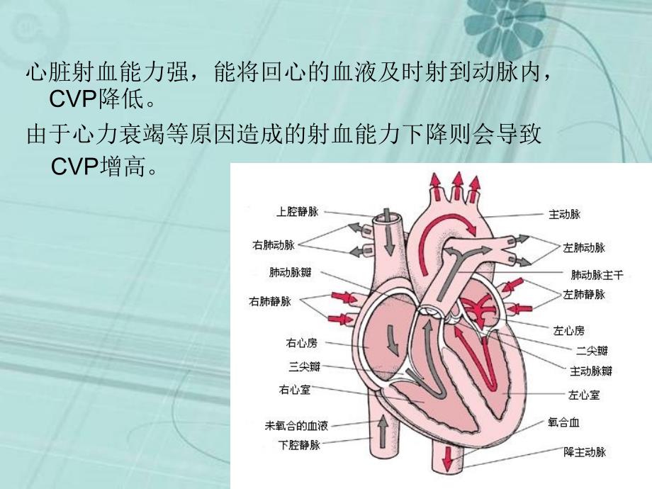 中心静脉压(cvp)_第4页