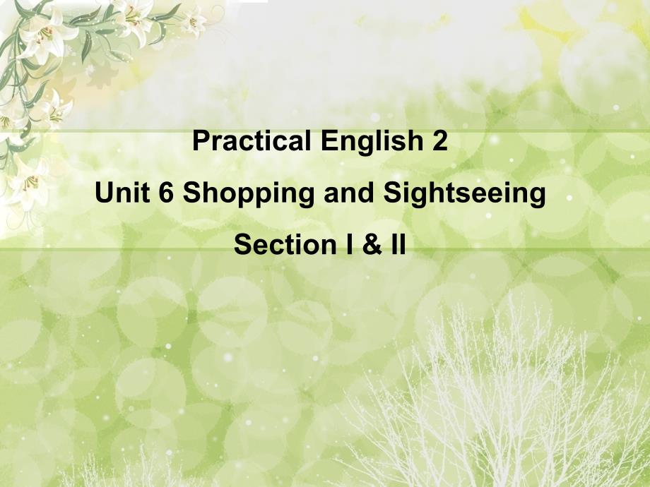 新编实用英语2 Unit 6 Shopping and Sightseeing_第1页