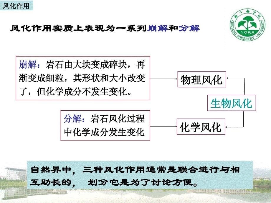 2_岩石风化与土壤形成_第5页