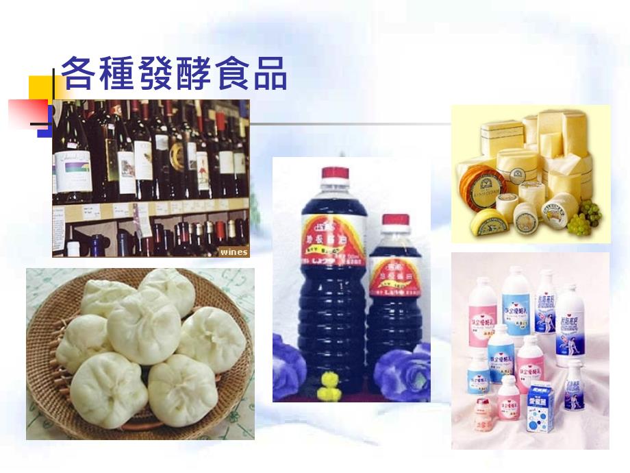 微生物与发酵食品(乳酸菌与酵母菌产品)_第2页