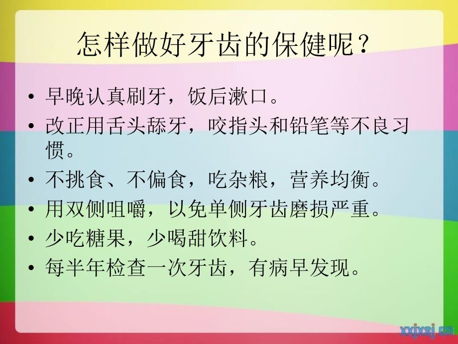 牙齿的功能与保健PPT_第2页