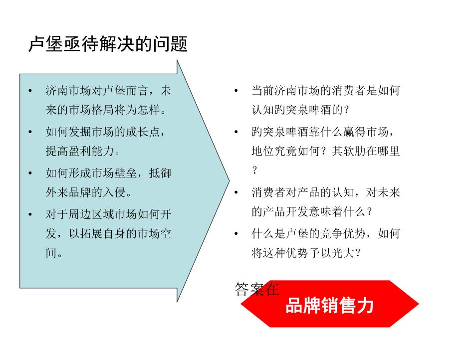 趵突泉啤酒市场诊断建议书_第3页