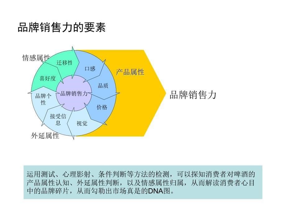 趵突泉啤酒市场诊断建议书_第5页