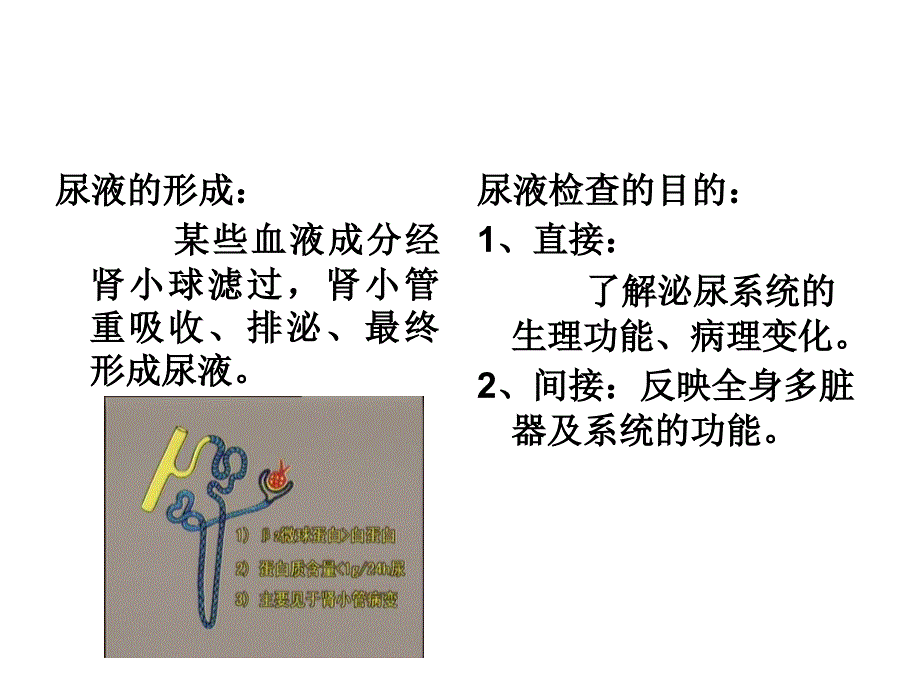 健康评估之教学尿液检查_第4页