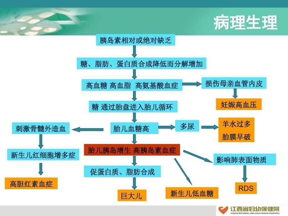 (蔡庆华)妊娠糖尿病与饮食指导_图文_第5页