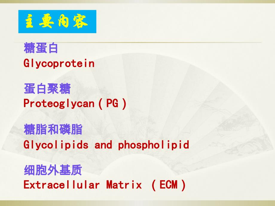 糖复合物课件_第2页