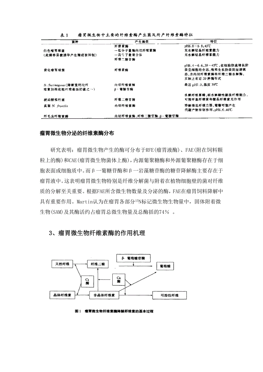 瘤胃中高效分解纤维素菌种的筛选研究_第4页