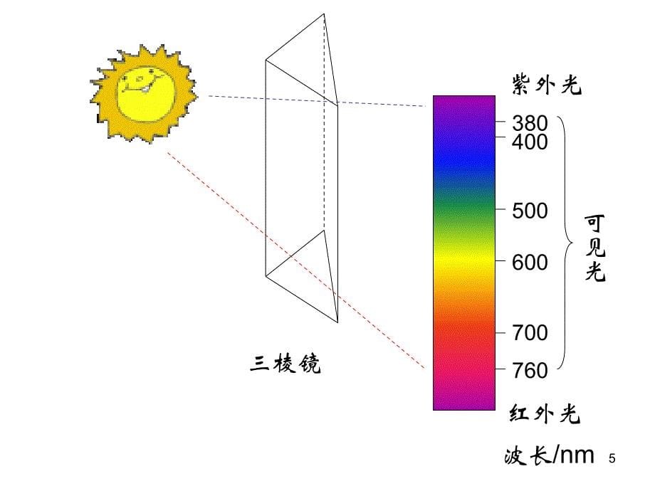 光合作用和细胞呼吸复习_第5页