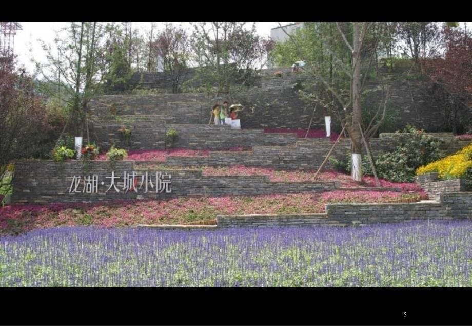 大城小院132张现场实景照片_第5页