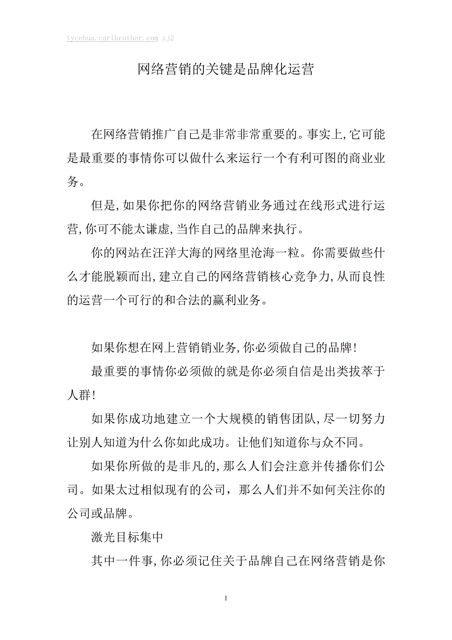 网络营销的关键是品牌化运营_第1页