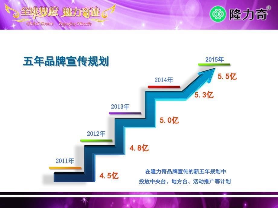 隆力奇未来规划（徐董）_第5页