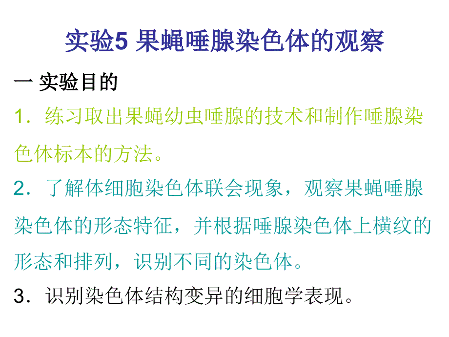 果蝇唾液腺染色体观察_第1页