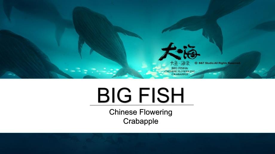 2016动画电影大鱼海棠英文介绍_图文_第1页