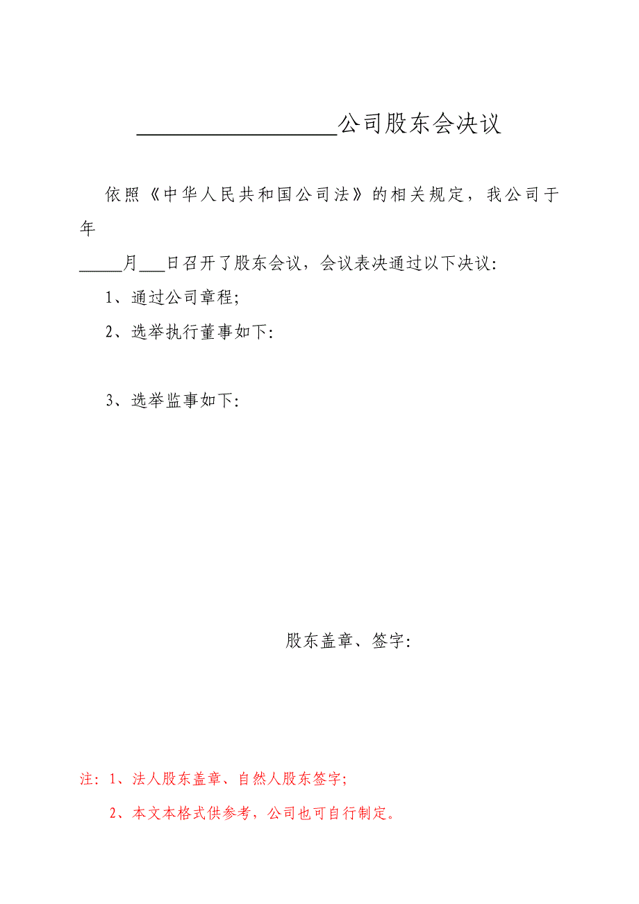 设立用多股东公司不设董事会决议及聘任书_第1页