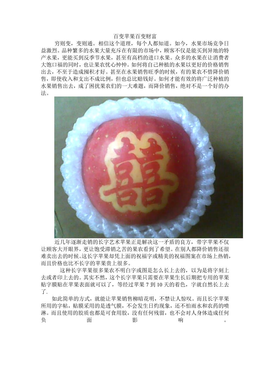 苹果长字：百变苹果百变财富_第1页