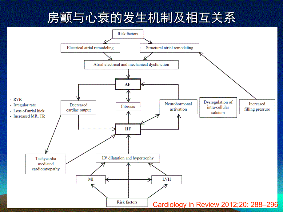 【精品】ppt课件  房颤与心衰：进展与挑战_第4页