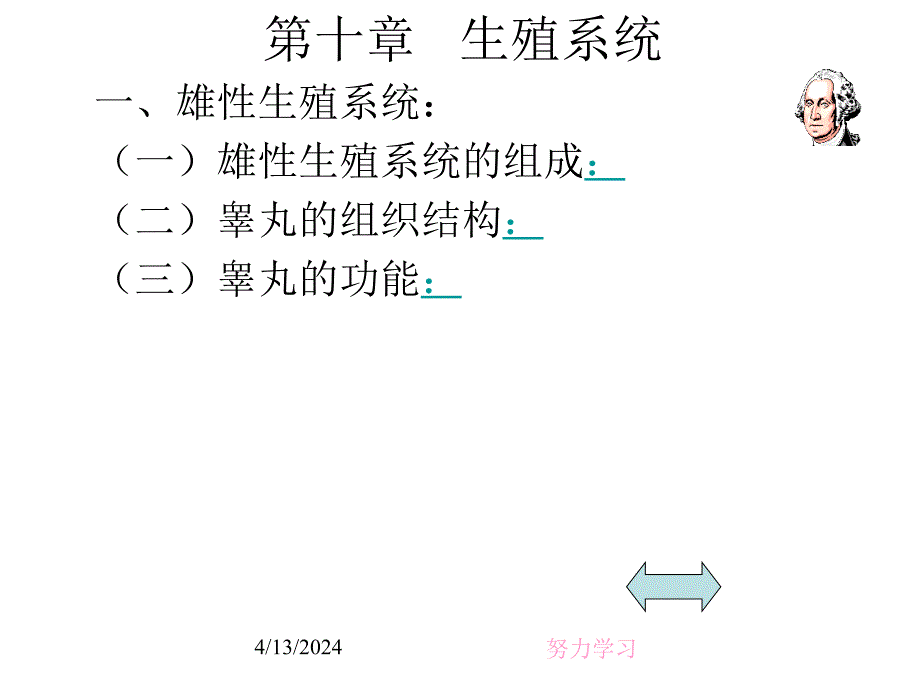 生殖系统(reproductive system)_第3页