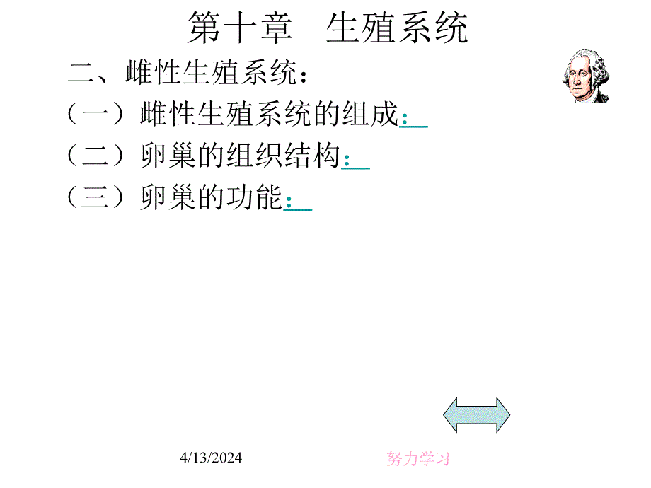 生殖系统(reproductive system)_第4页