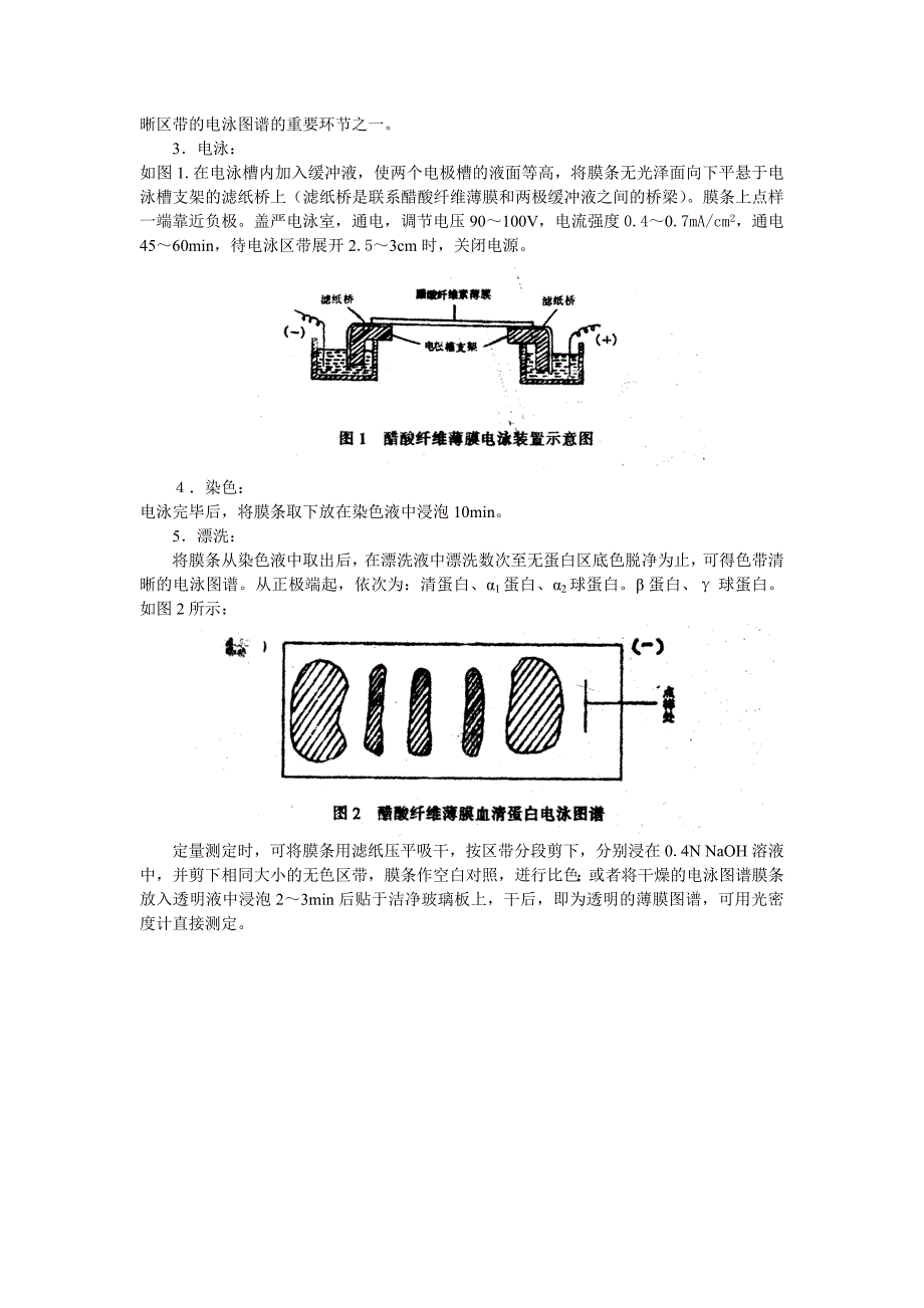 血清蛋白醋酸纤维薄膜电泳_第2页