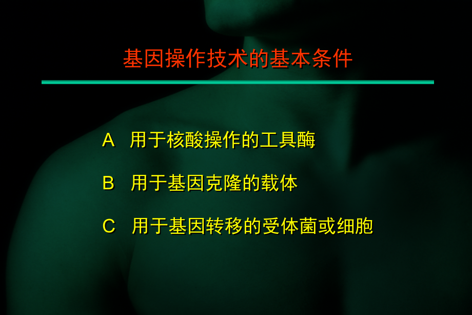 限制酶【精美生物医学课件】_第1页