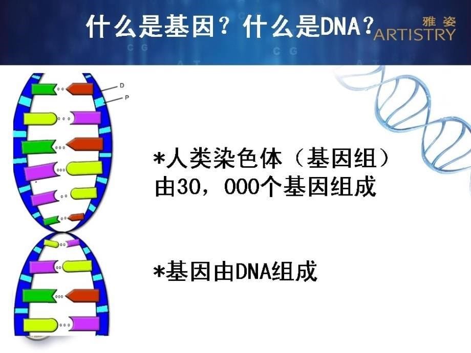 雅姿玑因14活颜精华液产品知识_第5页