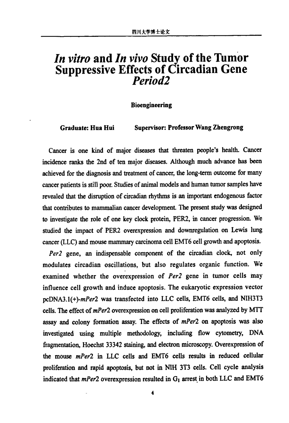 节律基因mPeriod2抑制肿瘤细胞生长的体内外研究_第4页