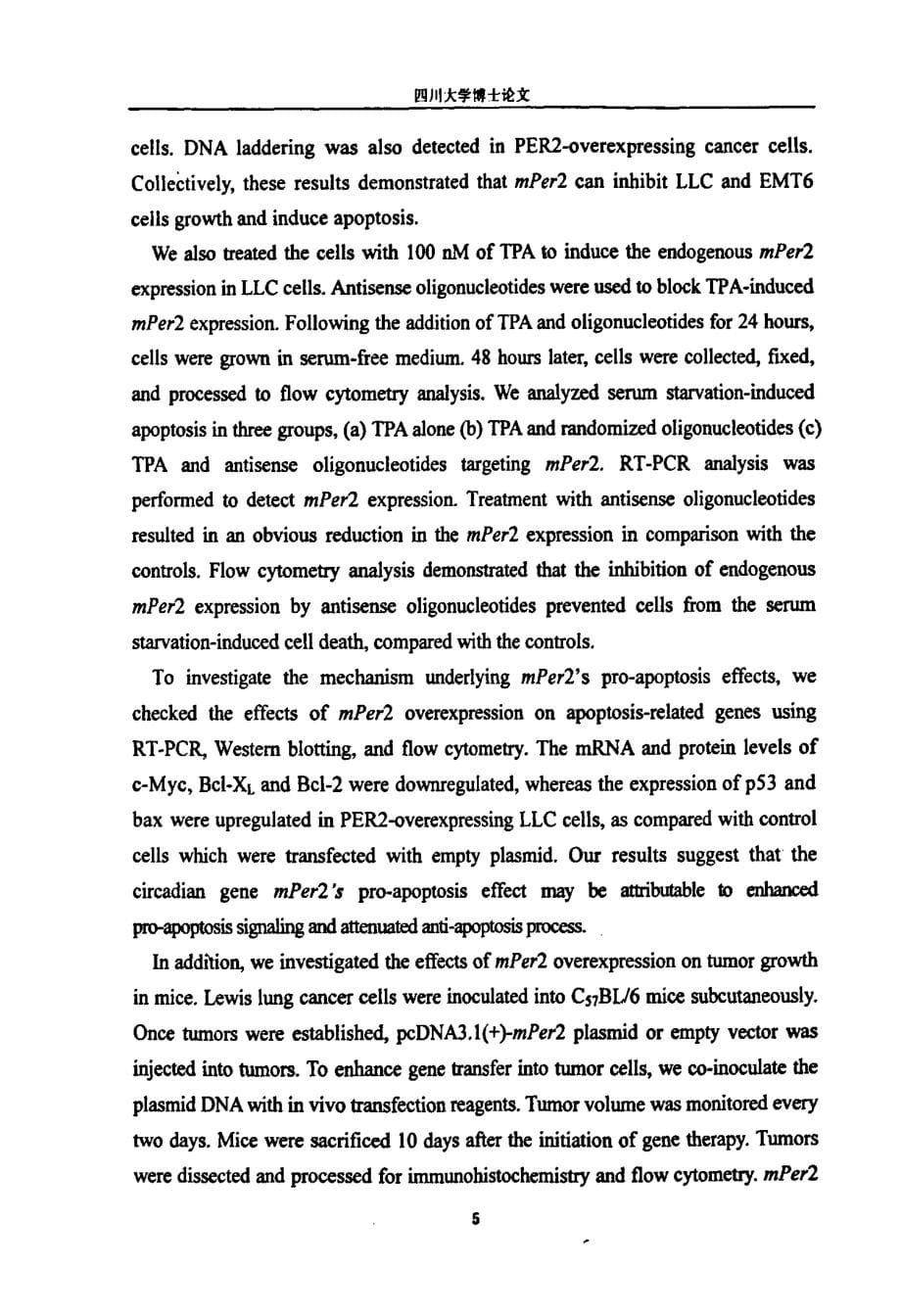节律基因mPeriod2抑制肿瘤细胞生长的体内外研究_第5页
